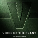 VOP | Flower | Grapes and Cream | 3.5g