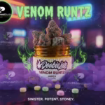 Doobie Labs | Flower | Venom Runtz | 3.5g