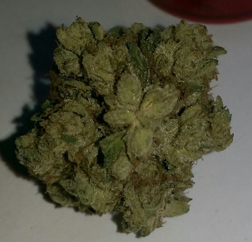 Buy-Kandy-Kush-Reserva-Privada.jpg Buy Kandy Kush (Reserva Privada) - Image 1