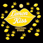 Akron Bloom | Pre-roll | Lemon Kiss | 1G