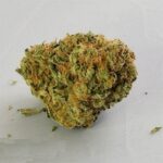 Buy alaskan thunder fuck Strain