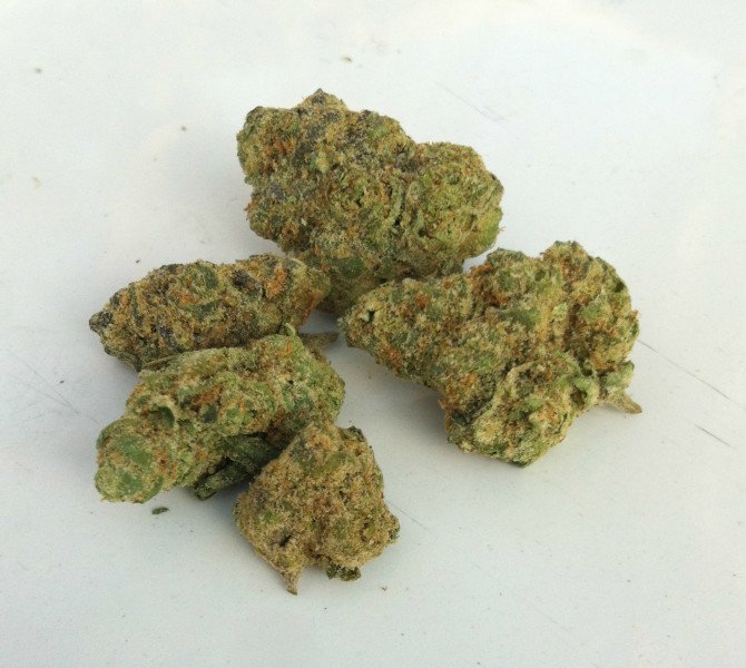 galeto45.jpg Buy AK Banana Strain Marijuana - Image 1