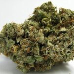 Buy Liberty Haze